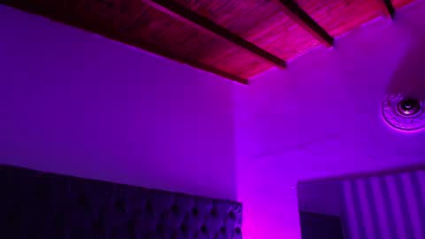 Snapshot of rebeca_cortez1 chatting on December 27, 2024, 7:08 am I invite you to my birthday on November 3th online show from December 27, 2024, 7:08 am