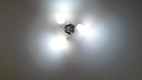 Snapshot of red_fox777 chatting on February 12, 2026, 1:17 pm Lisa online show from February 12, 2026, 1:17 pm