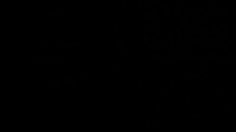 Neta online show from October 22, 2025, 12:44 am