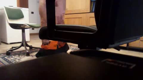 redbull3254 online show from December 2, 2025, 11:26 am