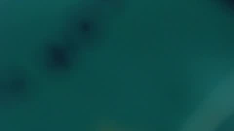 Snapshot of redhot_chilipeppers chatting on February 20, 2025, 9:55 am Lupe online show from February 20, 2025, 9:55 am