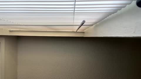 redsoilclay online show from September 27, 2025, 10:48 pm