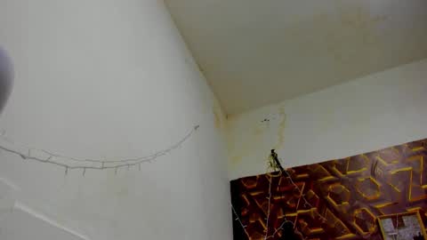 reed_kitty online show from December 15, 2025, 12:42 pm