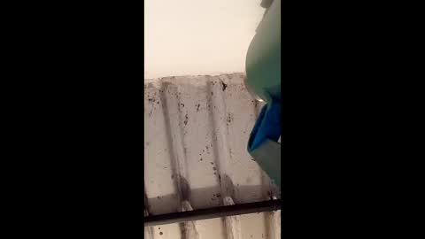 Snapshot of reinft chatting on March 1, 2026, 10:06 am reinft online show from March 1, 2026, 10:06 am