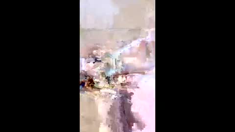 rgbarbary online show from December 21, 2025, 9:16 am