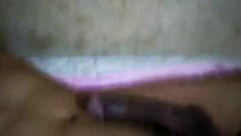 Snapshot of rica1234567890961640 chatting on October 21, 2025, 5:19 am rica1234567890961640 online show from October 21, 2025, 5:19 am