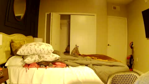 Snapshot of richierich813 chatting on October 3, 2025, 7:16 am richierich813 online show from October 3, 2025, 7:16 am
