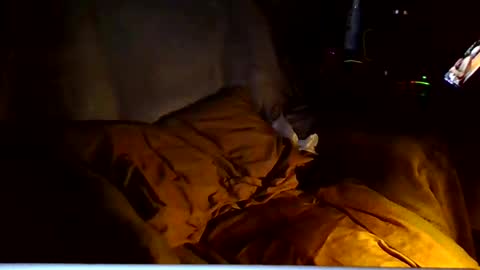 Snapshot of ricks4fun chatting on March 6, 2026, 4:53 am PINK HOLE TWINK online show from March 6, 2026, 4:53 am