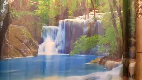 bwc daddy online show from December 9, 2024, 9:48 pm