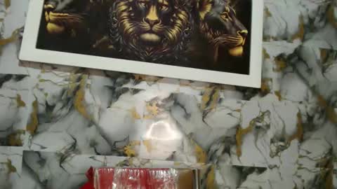 Snapshot of rigel_paxs chatting on November 18, 2025, 6:34 pm rigel online show from November 18, 2025, 6:34 pm