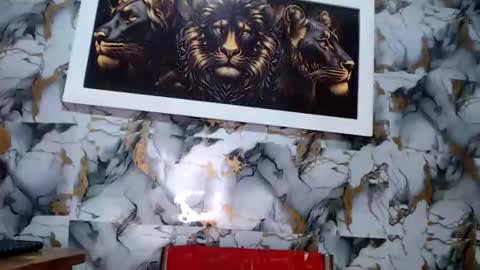 Snapshot of rigel_paxs chatting on March 12, 2026, 5:46 am rigel online show from March 12, 2026, 5:46 am