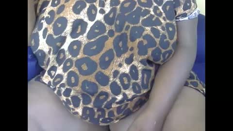 cookie online show from December 29, 2024, 10:01 am