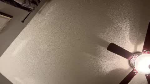 BwC4Breed online show from January 21, 2025, 11:35 am