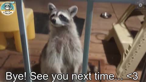 Ryan aka KeylimeRy online show from October 24, 2025, 12:52 am