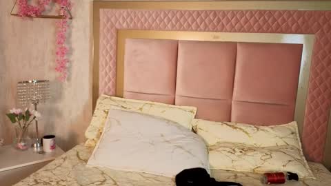 Snapshot of robinbennett chatting on January 19, 2026, 12:03 am robin D online show from January 19, 2026, 12:03 am