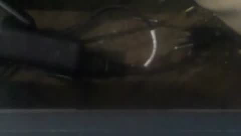 R online show from December 20, 2024, 3:36 am