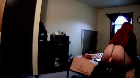 Snapshot of robinhead1981 chatting on February 18, 2026, 5:53 pm RobinHEAD online show from February 18, 2026, 5:53 pm