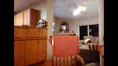 robo0000 online show from November 20, 2025, 1:06 am