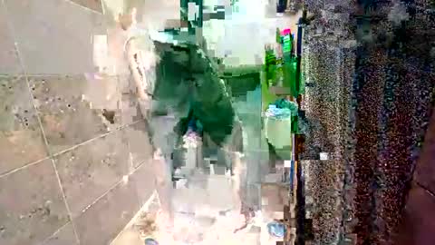 Snapshot of rockdrigo31 chatting on November 20, 2025, 5:51 am rockdrigo31 online show from November 20, 2025, 5:51 am