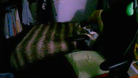 roktero 90 online show from December 16, 2025, 8:03 pm