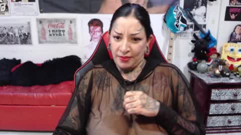 Snapshot of rollyderolandia666 chatting on December 9, 2024, 9:48 pm Rolly online show from December 9, 2024, 9:48 pm