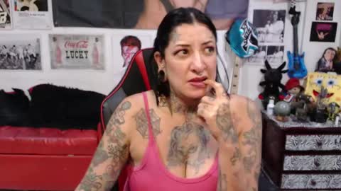 Snapshot of rollyderolandia666 chatting on February 23, 2025, 1:02 am Rolly online show from February 23, 2025, 1:02 am