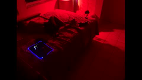 romeotyn online show from February 21, 2025, 3:01 am