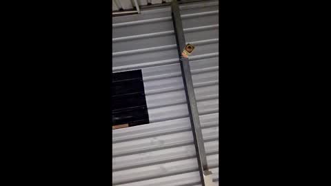 ronabater online show from January 11, 2026, 8:36 pm