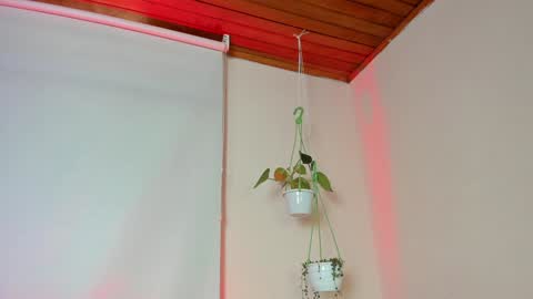 Lyla OF roselinedior online show from February 4, 2025, 2:21 pm