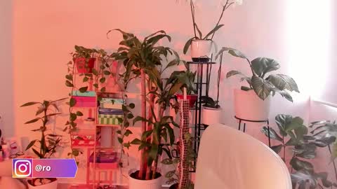 Snapshot of rossth11 chatting on October 24, 2025, 7:43 pm Im Ross online show from October 24, 2025, 7:43 pm