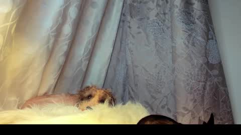 Snapshot of roxanamariahills_ chatting on February 26, 2026, 6:01 am Rosita online show from February 26, 2026, 6:01 am