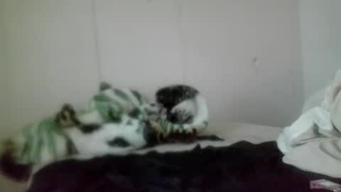 Snapshot of roxybcali chatting on November 5, 2025, 7:36 pm Roxy and Brock online show from November 5, 2025, 7:36 pm