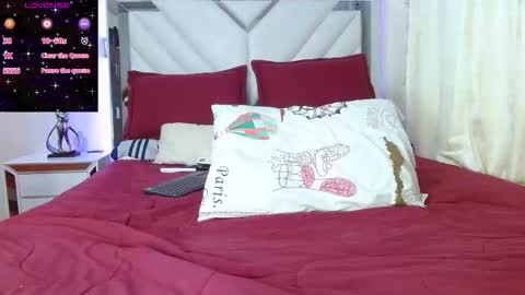 Snapshot of rubymyers chatting on January 15, 2026, 2:27 am Ruby online show from January 15, 2026, 2:27 am