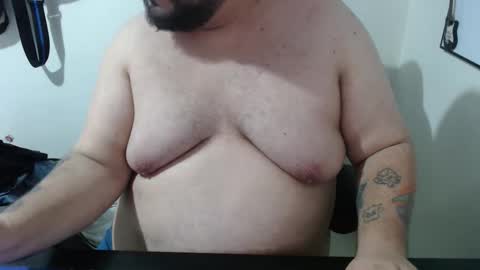 Bear online show from February 1, 2026, 12:09 am