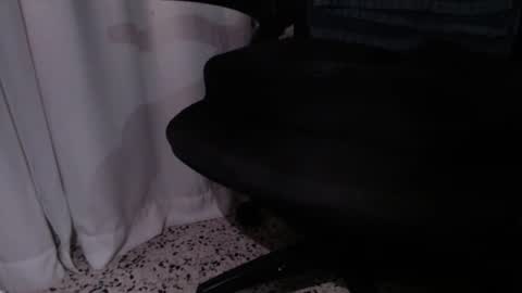 Snapshot of rx7900xtx chatting on December 4, 2025, 3:27 am rx7900xtx online show from December 4, 2025, 3:27 am