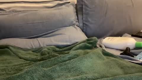 Ryan online show from January 2, 2025, 5:57 am