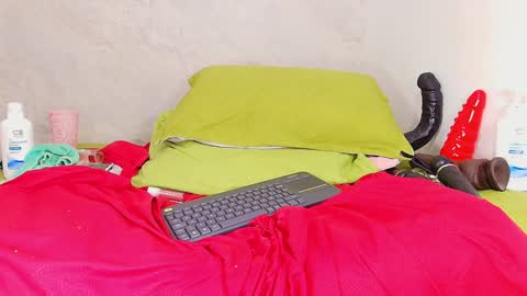 Snapshot of s_sofia_ chatting on January 27, 2025, 10:27 pm s_sofia_ online show from January 27, 2025, 10:27 pm