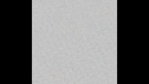 Leslie Beltrn online show from November 16, 2025, 4:40 am