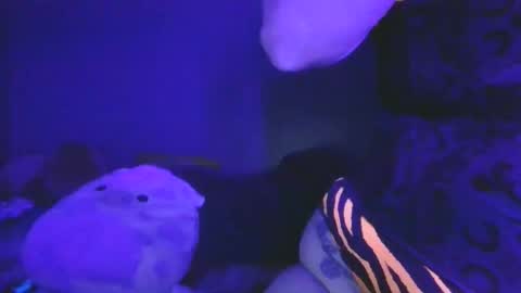 Snapshot of saddybaddie chatting on March 13, 2026, 6:09 am saddybaddie online show from March 13, 2026, 6:09 am