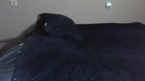 pluto online show from February 17, 2025, 10:47 pm