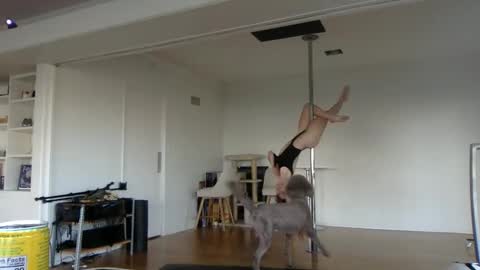 sadgirldies online show from February 20, 2025, 12:52 am