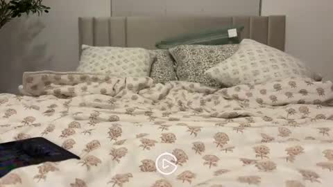 Snapshot of sagehaven chatting on December 3, 2024, 6:26 am Sage online show from December 3, 2024, 6:26 am