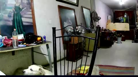 ruby  chocoholic cakeholic coffeeholic cookieholic online show from November 18, 2025, 12:16 am