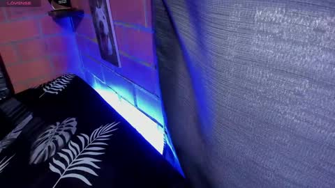 Snapshot of sainix_ chatting on January 4, 2025, 9:41 pm sainix_ online show from January 4, 2025, 9:41 pm