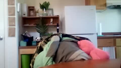 salis1981 online show from October 16, 2025, 6:31 pm