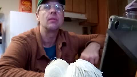 salis1981 online show from November 21, 2025, 7:01 pm