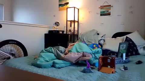 salis1981 online show from November 24, 2025, 6:40 pm