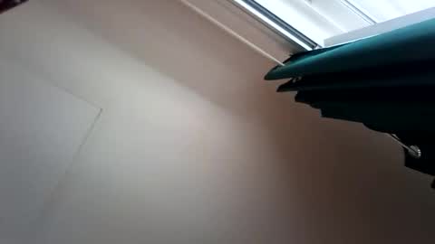 salis1981 online show from December 13, 2025, 7:53 pm