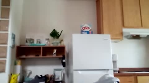 Snapshot of salis1981 chatting on February 9, 2026, 8:46 pm salis1981 online show from February 9, 2026, 8:46 pm