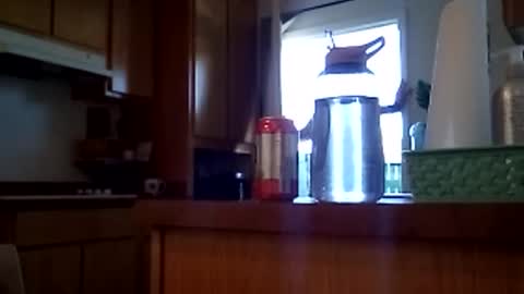 Snapshot of salis1981 chatting on February 12, 2026, 7:09 pm salis1981 online show from February 12, 2026, 7:09 pm